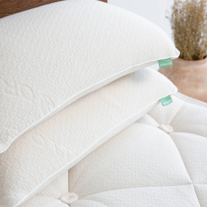 Avocado Pure Talalay Luxury Pillow Resilient Support