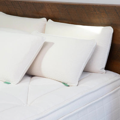 Avocado Pure Taalay Luxury Pillow Resilient Support