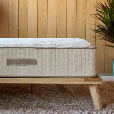 Avocado Wool Mattress Organic & Latex Free