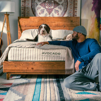 Avocado Eco Organic Mattress Latex Hybrid