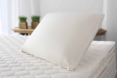 Organic Latex Soap-Shaped Pillow (Savvy)