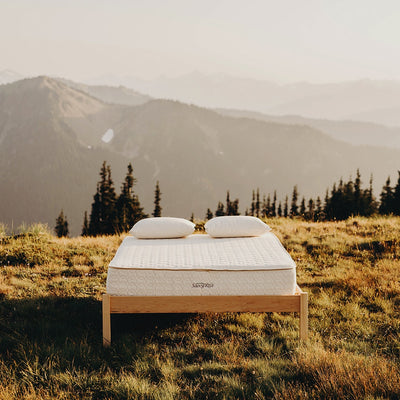 Serenity