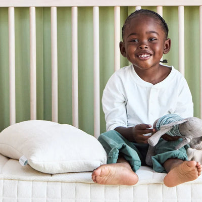 Avocado Organic Toddler Pillow Best Quality Kapok GOLS Certified