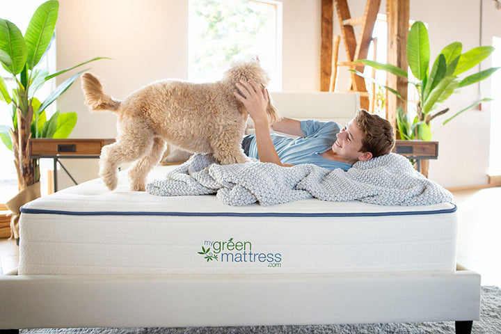 Kiwi Organic Mattress