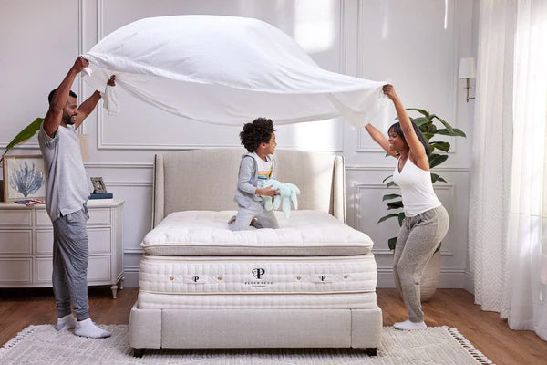 Plushbeds Organic Bliss Pillowtop Mattress