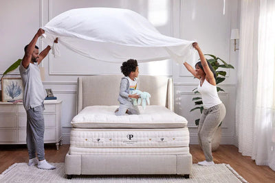 Plushbeds Organic Bliss Pillowtop Mattress