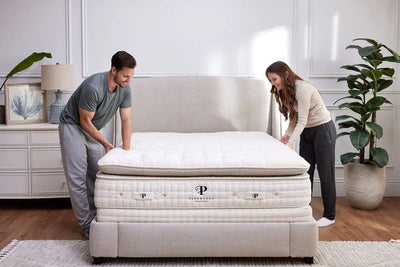 Plushbeds Organic Bliss Pillowtop Mattress