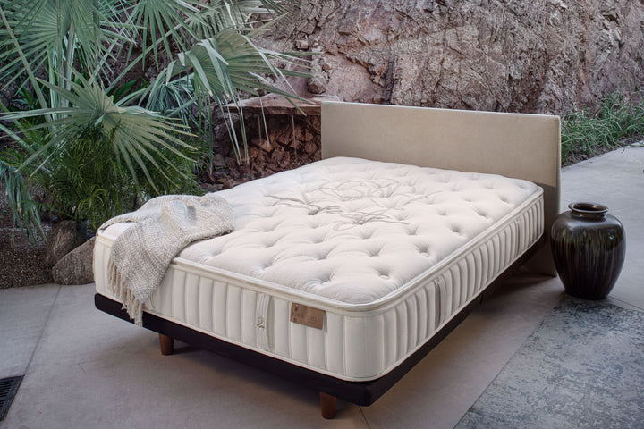 Copper Lily Euro Top Plush