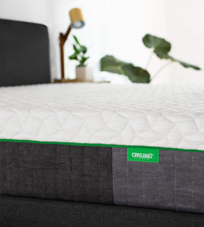 Cariloha Resort Bamboo Mattress