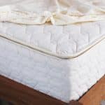 Organic Waterproof Mattress Protector
